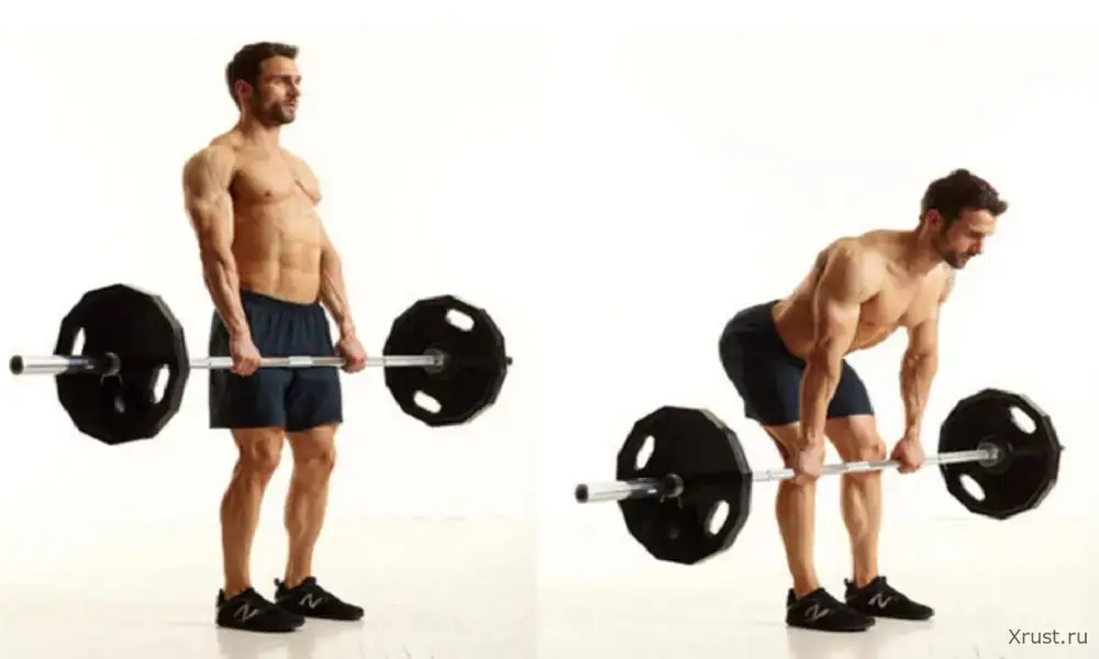 Мужчина без задницы – нет зрелища печальнее на свете Мужчина без задницы – нет зрелища печальнее на свете